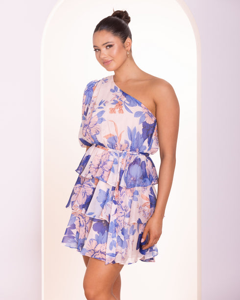 Briley Mini Dress